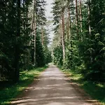 Maenniku Metsatalu Puhkemaja Vidiit Hébergement de vacances Viljandi (Viljandimaa)