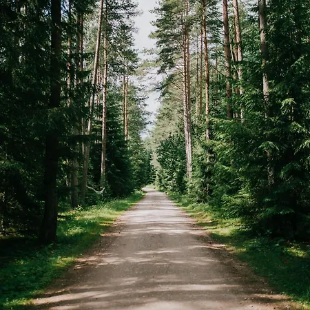 Maenniku Metsatalu Puhkemaja Vidiit Holiday home Viljandi (Viljandimaa)