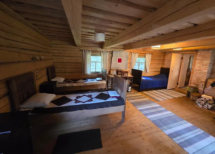 Maenniku Metsatalu Puhkemaja Vidiit * Viljandi (Viljandimaa)