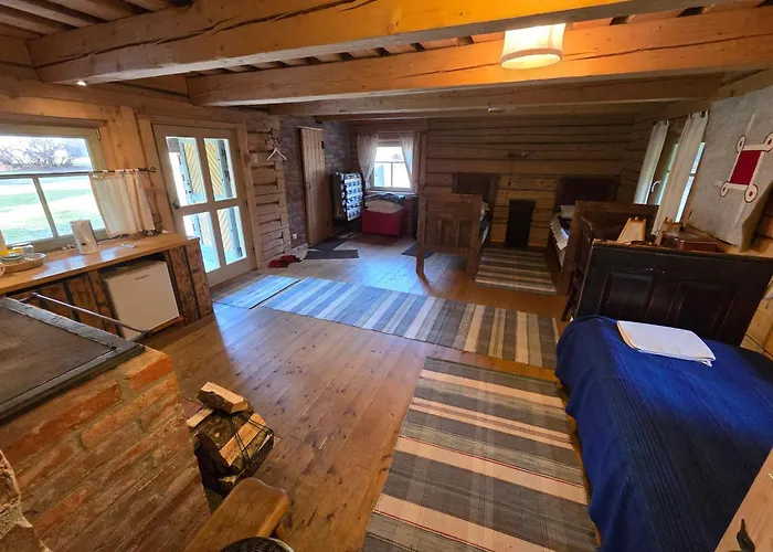 Maenniku Metsatalu Puhkemaja Vidiit *