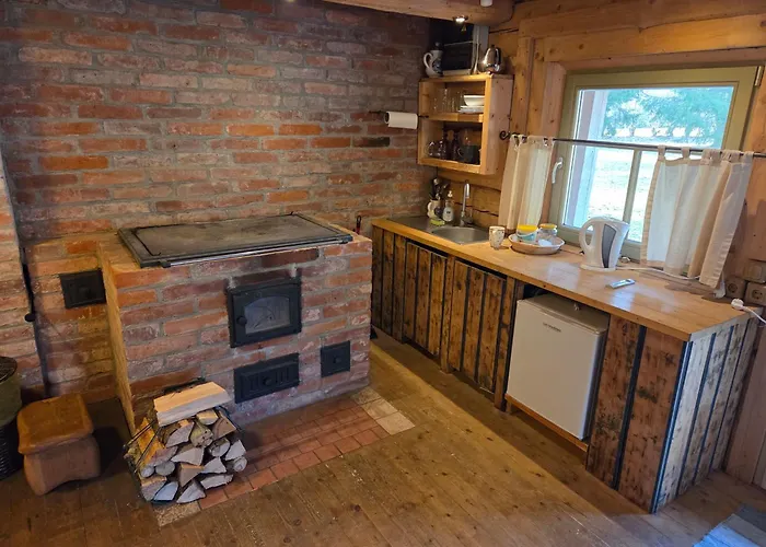 Maenniku Metsatalu Puhkemaja Vidiit Holiday home *