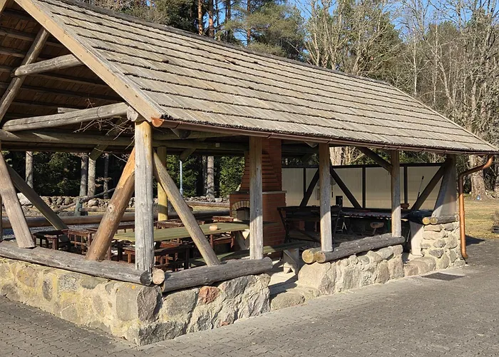 Maenniku Metsatalu Puhkemaja Vidiit * Viljandi (Viljandimaa)