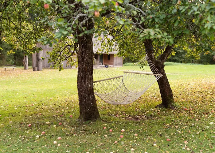 Holiday home Maenniku Metsatalu Puhkemaja Vidiit Viljandi (Viljandimaa)