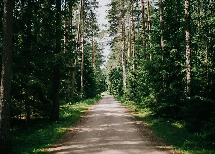 Maenniku Metsatalu Puhkemaja Vidiit Holiday home Viljandi (Viljandimaa)